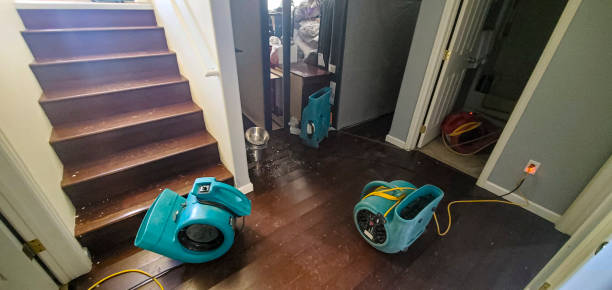 Best Residential water damage restoration  in White Oak, OH