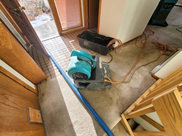 Best Emergency water damage restoration  in White Oak, OH