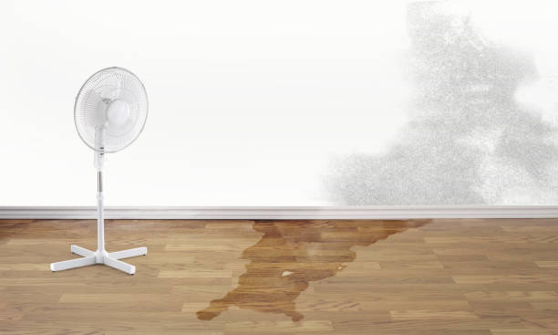 Best Flooded house restoration  in White Oak, OH