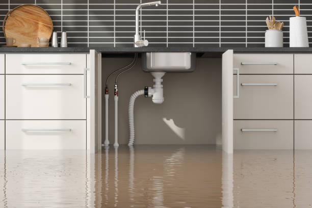 Best Water damage contractors near me  in White Oak, OH