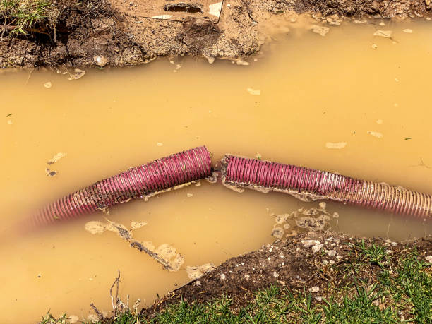 Best Carpet water damage restoration  in White Oak, OH