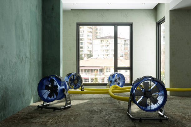 Best Flood restoration services  in White Oak, OH